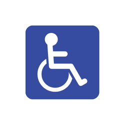 Disability (according to the social model of disability)
