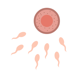 Fertility