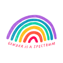 Gender spectrum