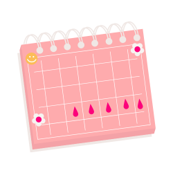 Menstruation