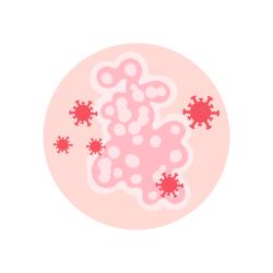 Sexually Transmitted Infection (STI)